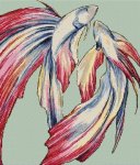 (image for) Bettas